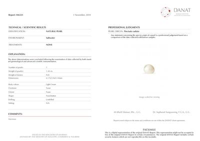 Basra Natural Pearl 1.30 Carat