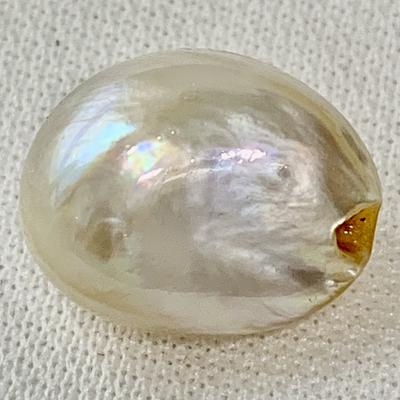 Basra Natural Pearl 11+ Carat Near Button Shape 14mm