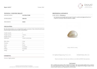 Basra Natural Pearl 11+ Carat Near Button Shape 14mm