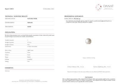 Basra Natural Pearl 0.74 Carat