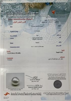 Basra Natural Pearl 5+ Carat Button Shape Light Greyish Cream