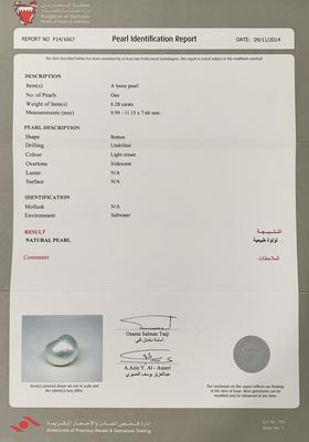 Basra Natural Pearl 6.28 Carat 11mm Button Shape