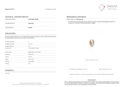 Basra Natural Pearl 6.74 Carat 13mm