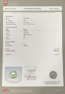 Basra Natural Pearl 6+ Carat High Luster Button Shape