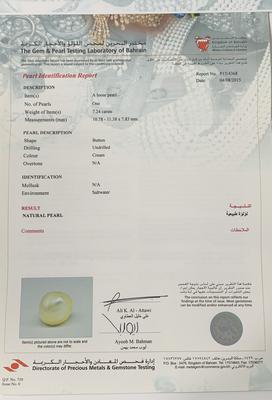 Basra Natural Pearl 7+ Carat Button Shape 11mm