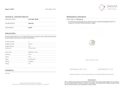 Basra Natural Pearl Baroque Light Silver 5mm