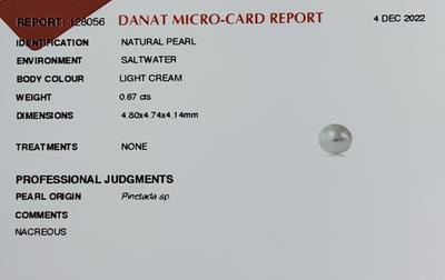 Basra Natural Pearl Button Shape Great Luster 4mm