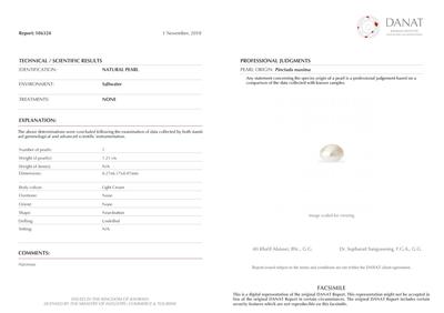 Cert Basra Natural Pearl Near Button Shape 6mm 1.21 Carat