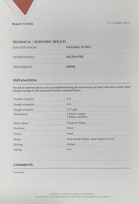 Basra Natural Pearl Necklace 27.35 Carat