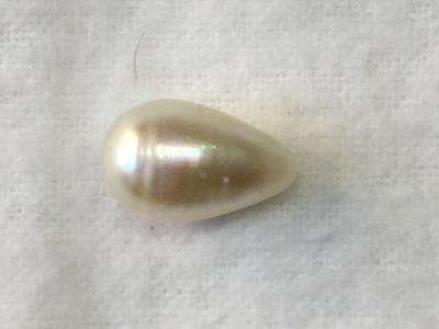 Basra Pearl 9.16 Carat 54.69 Chaw