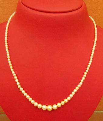 Salt Water Natural Pearl Necklace at 33.35 carats