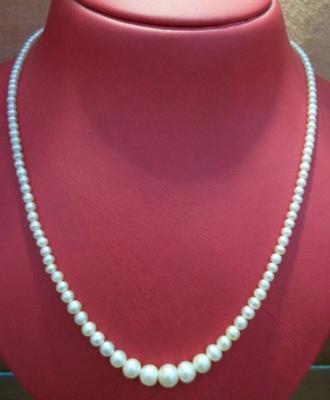 Natural Persian Gulf Pearl