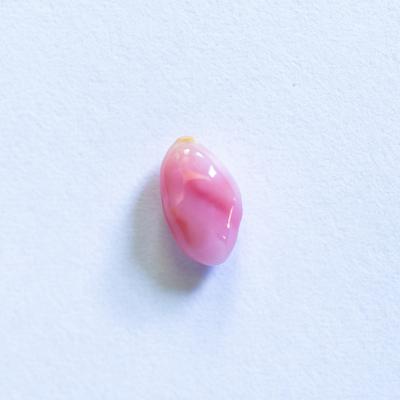 Beautiful Pink Conch Pearl Oval 7mm