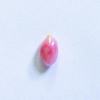 Beautiful Pink Conch Pearl Oval 7mm