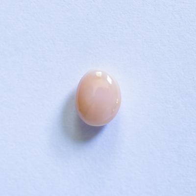Beige Conch Pearl 1+ carat 6mm