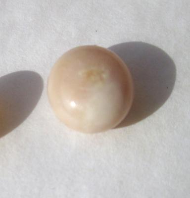 Beige Conch Pearl 3.55 carats Button Shape