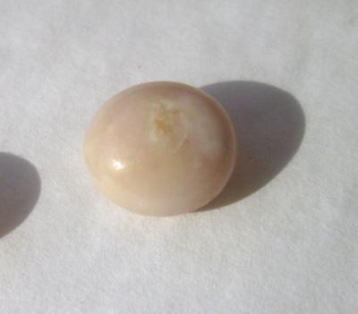 Beige Conch Pearl 3.55 carats Button Shape