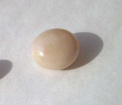 Beige Conch Pearl 3.55 carats Button Shape