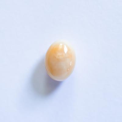 Beige Oval Conch Pearl 1+ carat 7mm 