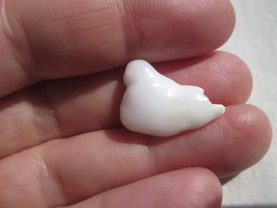 Bird Shaped Clam Pearl for Sale 14 carats 20mm