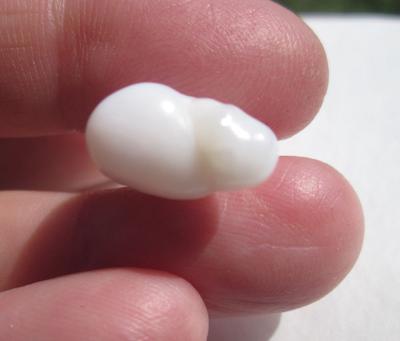 Bird Shaped Clam Pearl for Sale 14 carats 20mm
