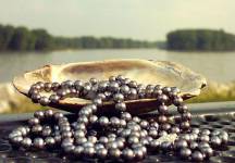 Black Pearls Tumbling