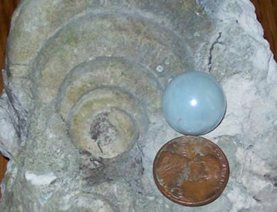 Blue Iowa Pearl Found when Fossil Hunting