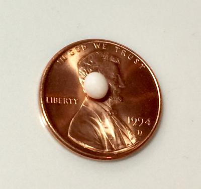 Blue Mussel Pearl White Oval