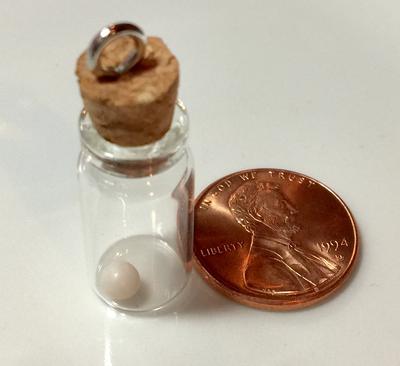 Blue Mussel Pearl White Oval