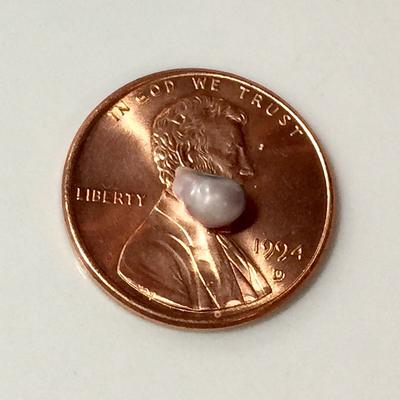 Blue Mussel Saltwater Pearl Baroque Lavender