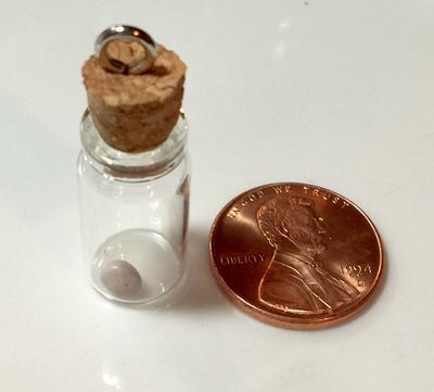 Blue Mussel Saltwater Pearl - Lavender