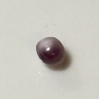 Blue Mussel Saltwater Pearl - Lavender & Purple