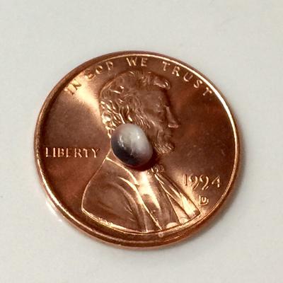 Blue Mussel Saltwater Pearl Lavender with Purple