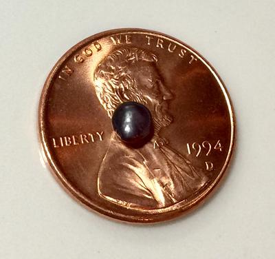 Blue Mussel Saltwater Pearl - Purple & Lavender