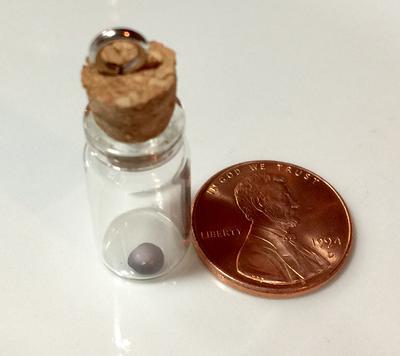 Blue Mussel Saltwater Pearl - Purple & Lavender