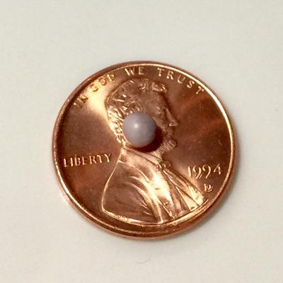 Blue Mussel Saltwater Pearl Roundish Lavender