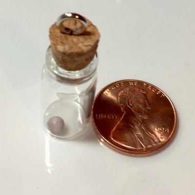 Blue Mussel Saltwater Pearl Roundish Lavender