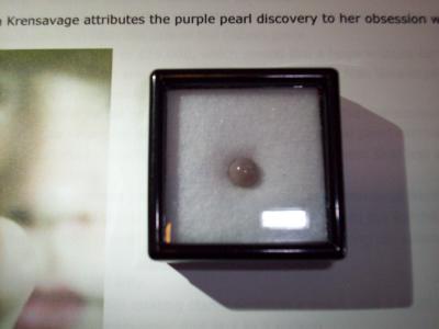 Leslie & George Brock's Purple CherryStone Clam Pearl