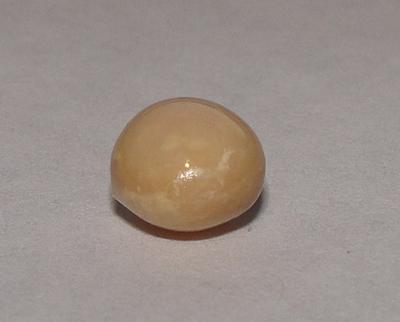Brown Conch Pearl 2 carats 7mm for Sale