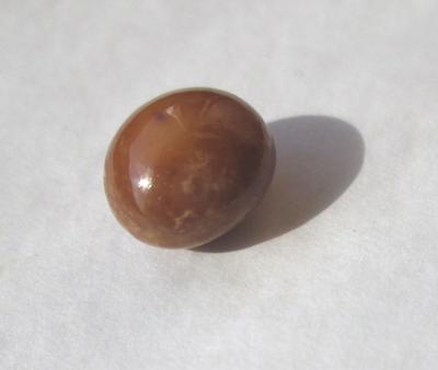 Brown Conch Pearl 5.70 carat Button Shape