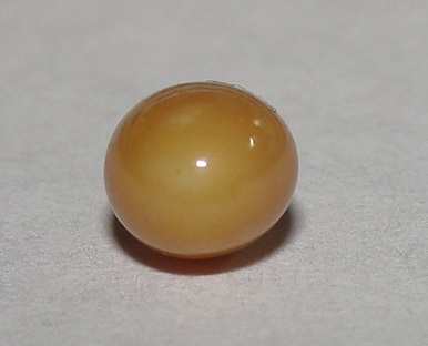Brown Conch Pearl Oval 6mm for Sale