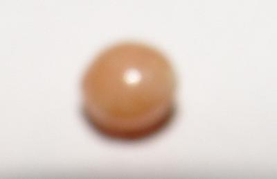 Brown Conch Pearl Round 4mm