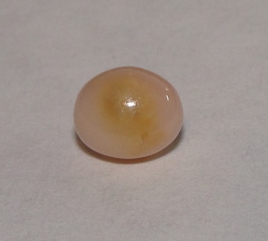 Brown Orange Conch Pearl 1.15 carat