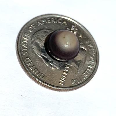 Bullseye Quahog Pearl Purple and Beige 9mm