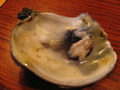 FOUND  PEARL at  FORT COLLINS CO