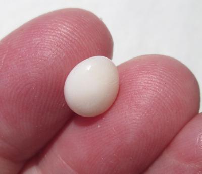Pearl Pearl
