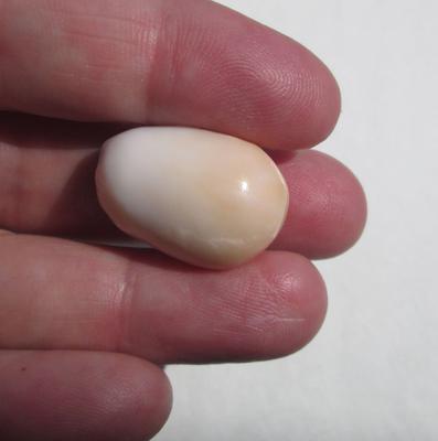 Pearl Pearl