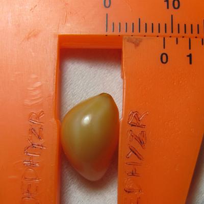 8.5 x 13mm Cassis Pearl