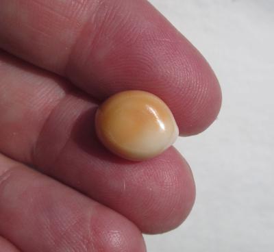 Pearl Pearl