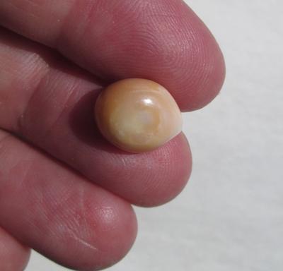 Cassis Pearl 7+ carats 12mm